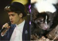 /album/animali-e-one-direction-/a1d-animali-10-1-jpg/